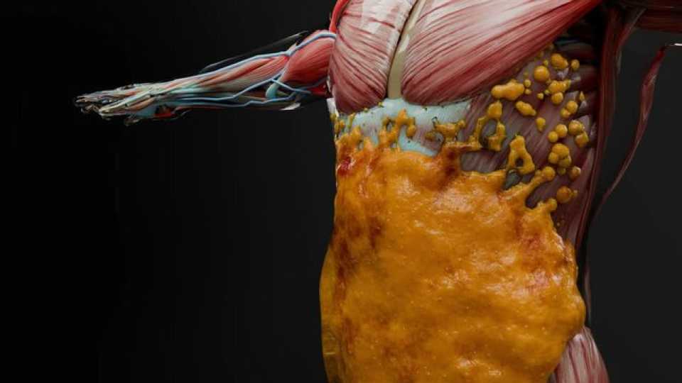 11 τροφές που «ξυπνούν» τον μεταβολισμό και βοηθούν το σώμα να καίει λίπος πιο έξυπνα