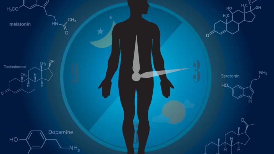 Δίαιτα Circadian Fasting: Η Ελκυστική Υπόσχεση των Βιολογικών Ρυθμών