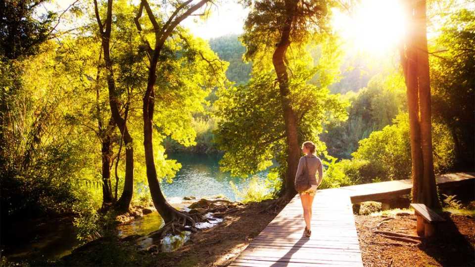 Πώς η Φύση Επαναφέρει το Νου μας