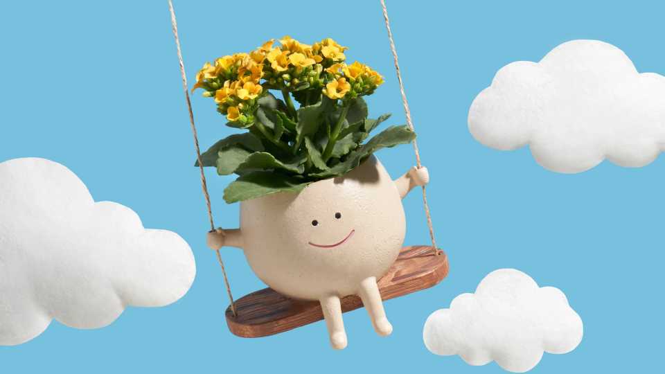 Το τίμημα της ευτυχίας: γιατί η πραγματική χαρά δεν έρχεται δωρεάν