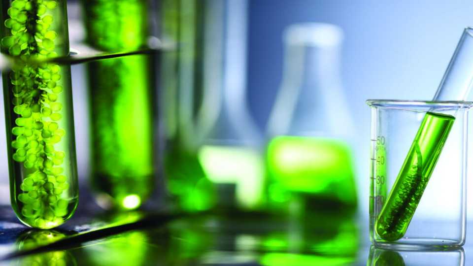 Λάδι από Φύκη: Η Επόμενη Επανάσταση στην Υγιεινή Μαγειρική;
