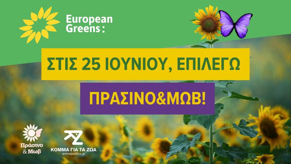 Ευρωπαίοι Πράσινοι: Στις εκλογές, υποστηρίζουμε Πράσινο&Μωβ
