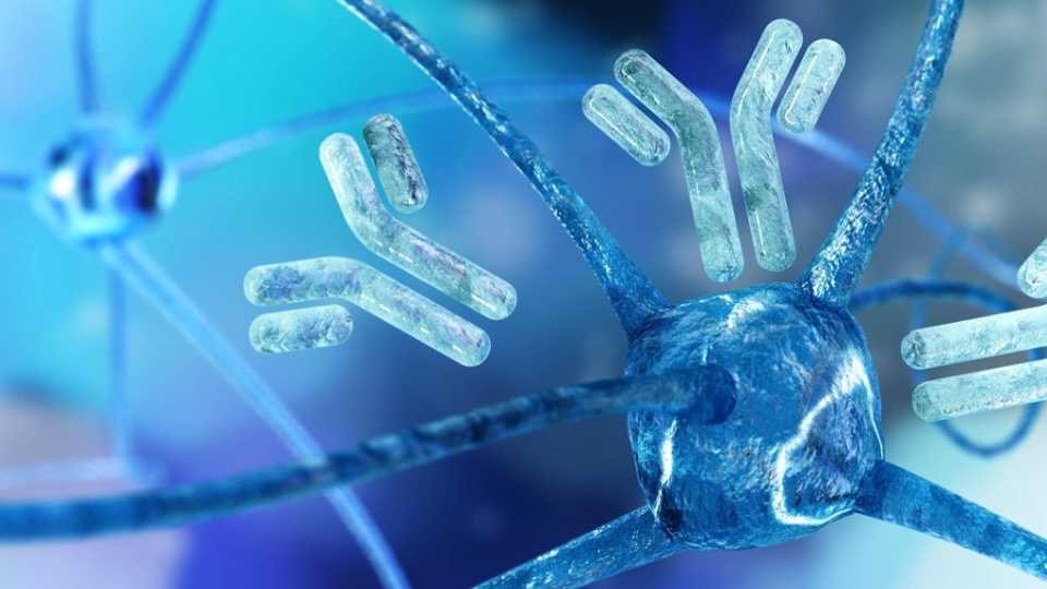 Φυσικές Ενισχύσεις για το Ανοσοποιητικό: Τι Λειτουργεί Πραγματικά;