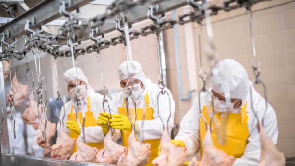 Μειώνοντας την Κατανάλωση Κρέατος: Πώς Μπορούμε να Εξοικονομήσουμε Δισεκατομμύρια