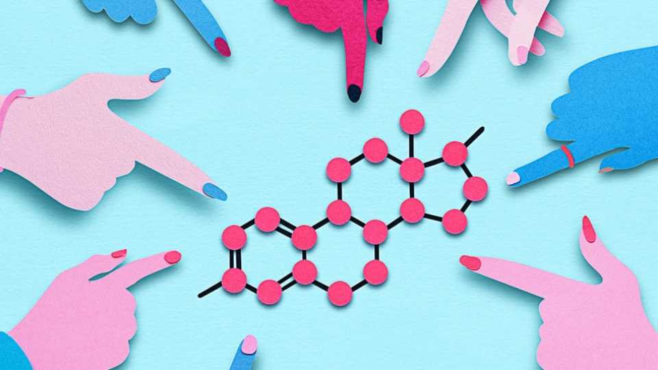 Ορμονικοί Διαταράκτες: Όταν το περιβάλλον επηρεάζει τη βιοχημεία μας