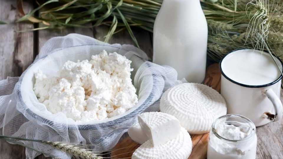 Γερά Οστά χωρίς Γαλακτοκομικά: Οι Φυτικοί «Σύμμαχοι» που Αλλάζουν τα Δεδομένα