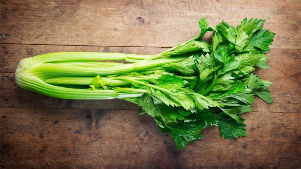 Σέλινο: Το Θεραπευτικό Βότανο που Έγινε Viral «Ελιξίριο»