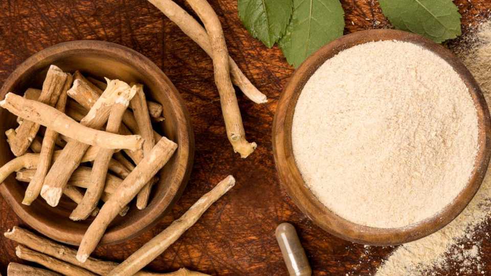 Ashwagandha για τη Γυναίκα: Ο Επιστημονικός Οδηγός 