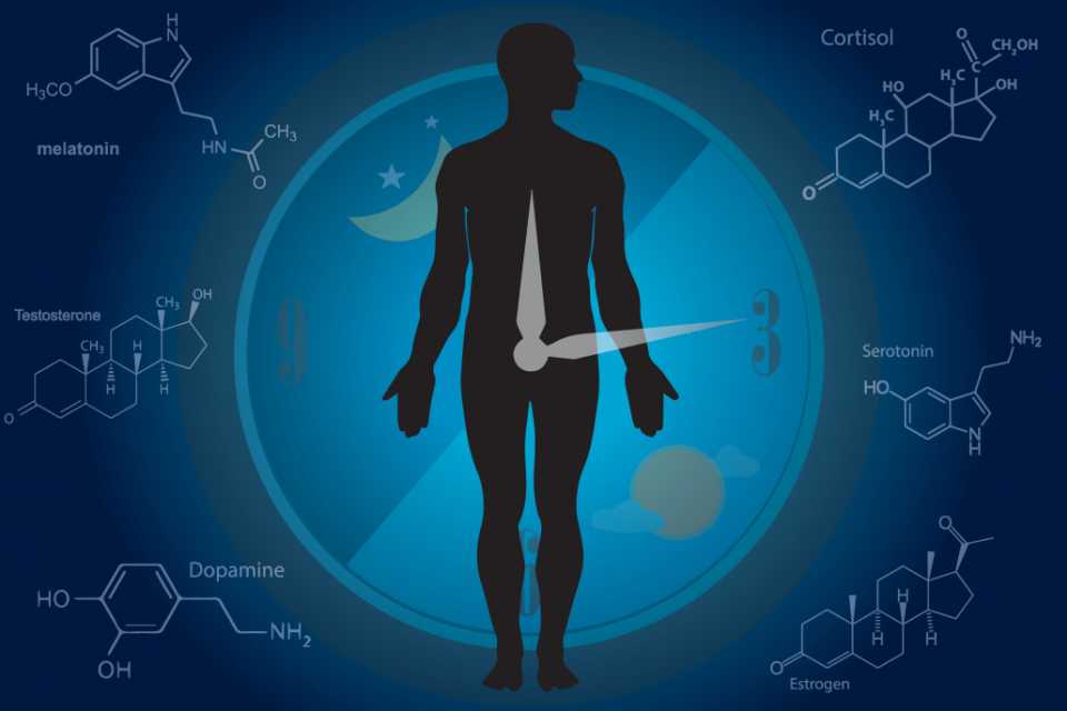 Δίαιτα Circadian Fasting: Η Ελκυστική Υπόσχεση των Βιολογικών Ρυθμών