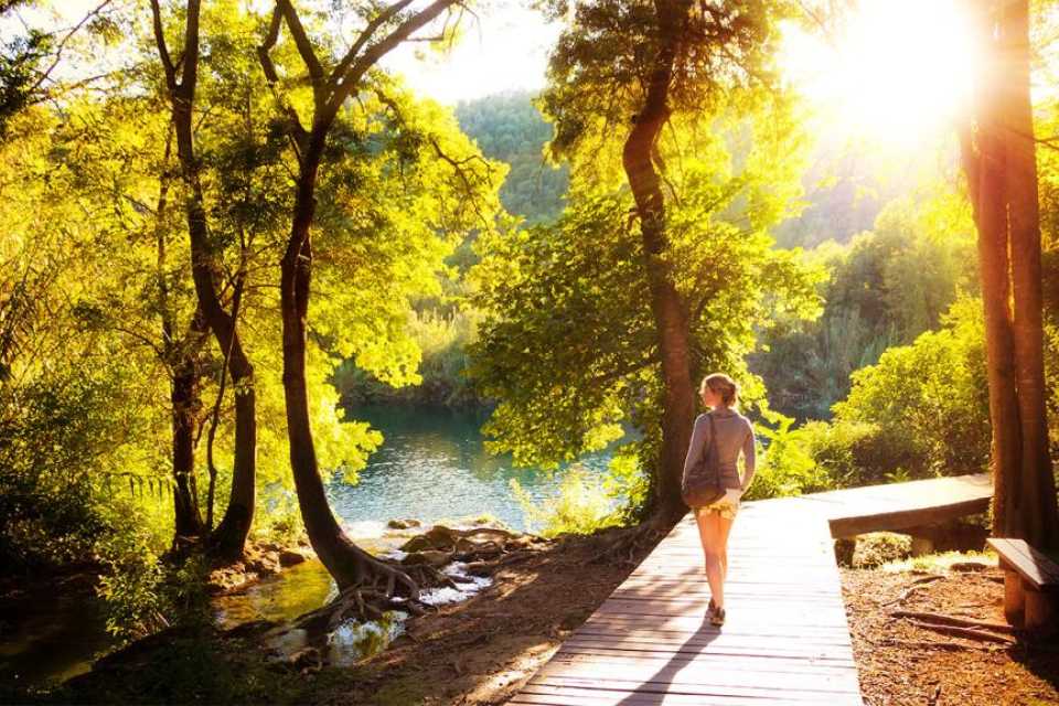 Πώς η Φύση Επαναφέρει το Νου μας