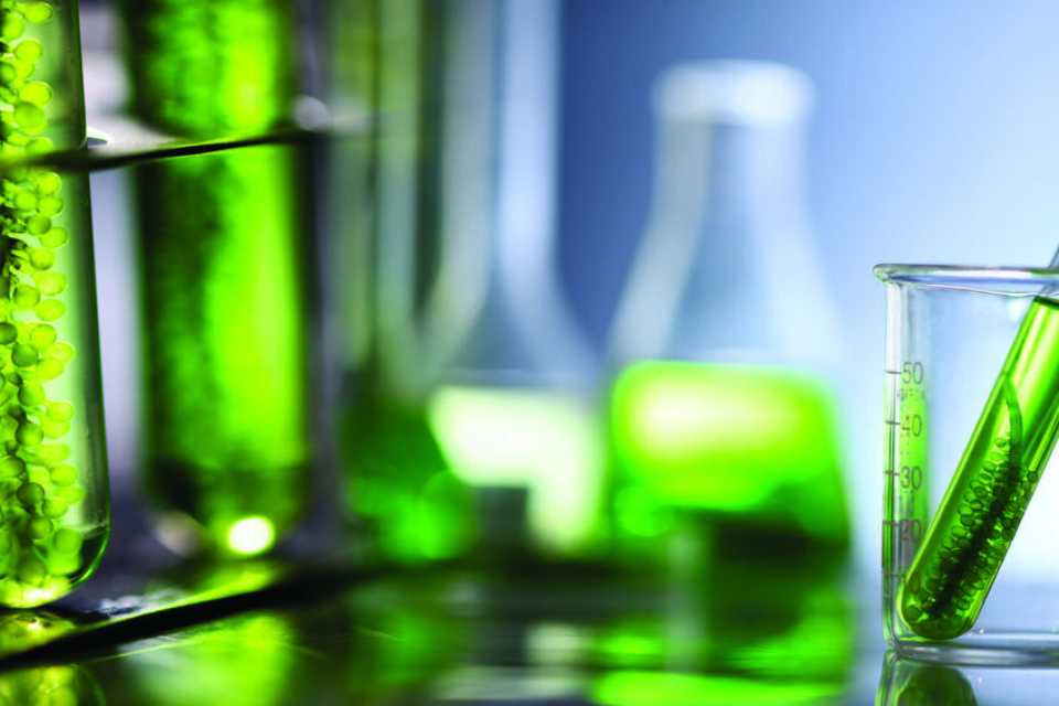 Λάδι από Φύκη: Η Επόμενη Επανάσταση στην Υγιεινή Μαγειρική;