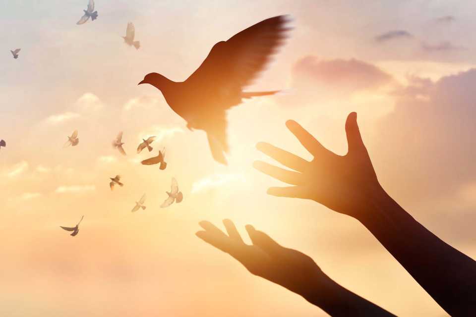 Να Συγχωρείς τον Εαυτό σου: Ο Δρόμος προς την Απελευθέρωση