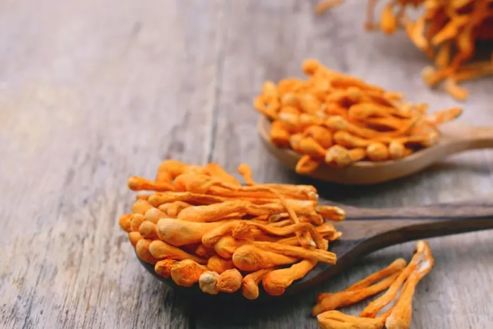 Συμπλήρωμα Cordyceps: Οφέλη, χρήσεις και παρενέργειες