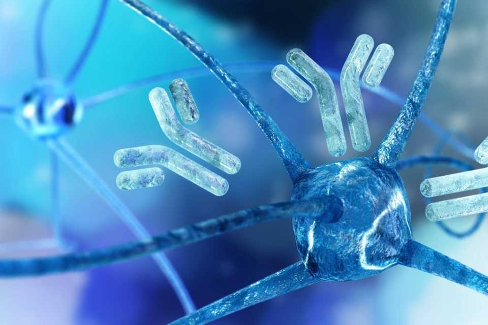 Φυσικές Ενισχύσεις για το Ανοσοποιητικό: Τι Λειτουργεί Πραγματικά;