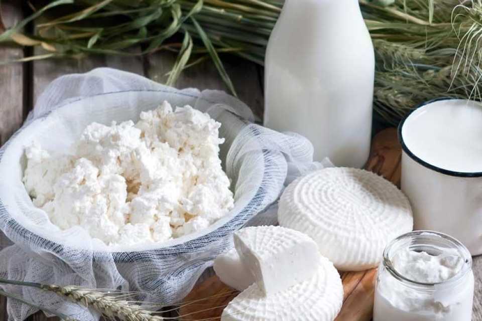 Γερά Οστά χωρίς Γαλακτοκομικά: Οι Φυτικοί «Σύμμαχοι» που Αλλάζουν τα Δεδομένα