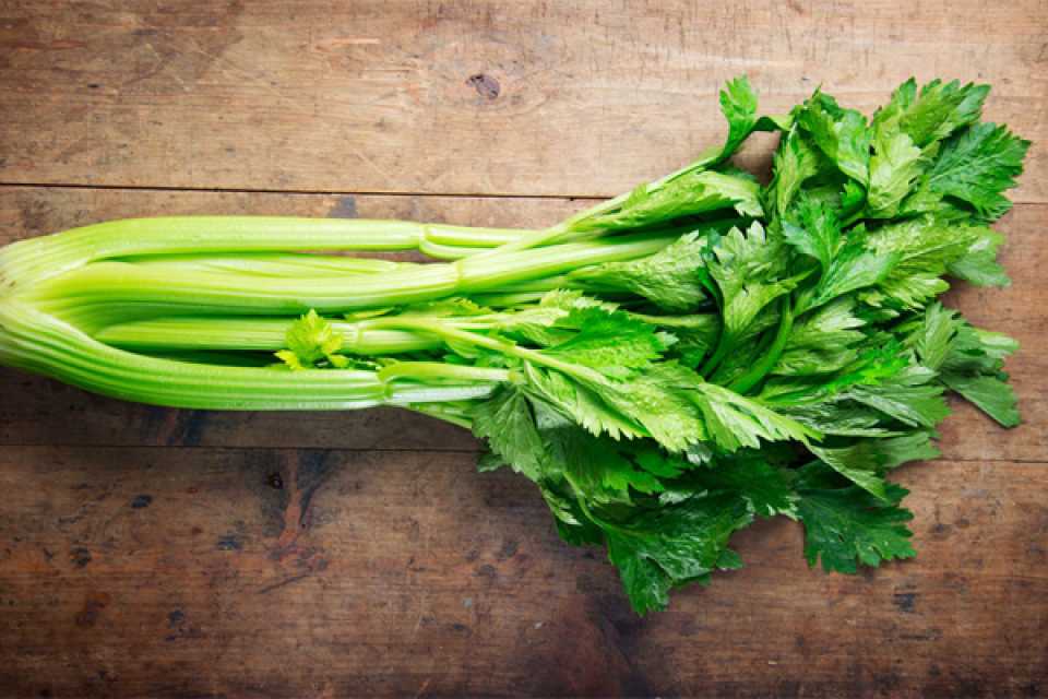 Σέλινο: Το Θεραπευτικό Βότανο που Έγινε Viral «Ελιξίριο»