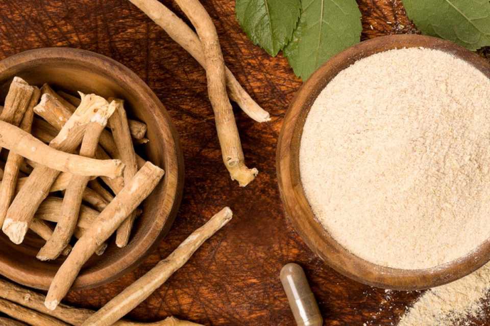 Ashwagandha για τη Γυναίκα: Ο Επιστημονικός Οδηγός 
